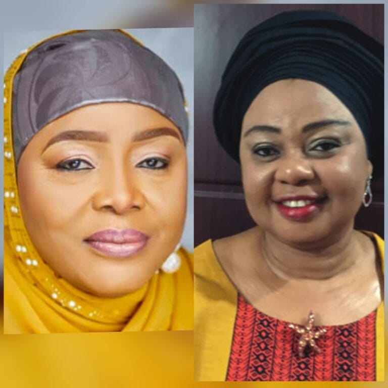 Tinubu Replaces Dankaka with Omidiran as FCC Boss Amid Allegations – SpiceyGists Tinubu Replaces Dankaka with Omidiran as FCC Boss Amid Allegations