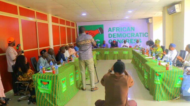 ADC Sets Up Constitution Review Committee to Deepen Internal Democracy